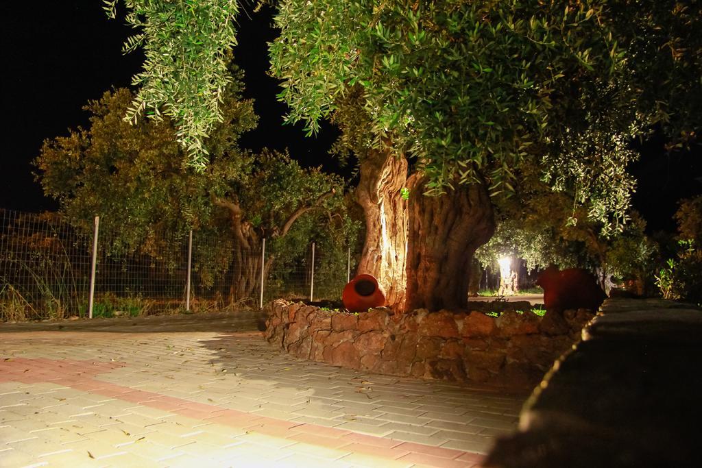 Studios Elianthos Skala Kallirakhis Luaran gambar